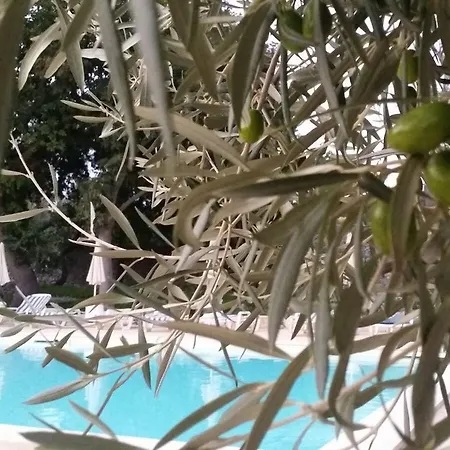 Valata Minusa Country Kır Evi